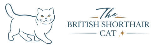 The British Shorthair Cat